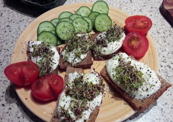 Radieschen auf Brot – Ackern in Linz